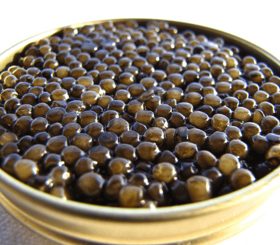 TANIT Caviar Kaluga Amur 200g